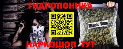 apvp Краснодар