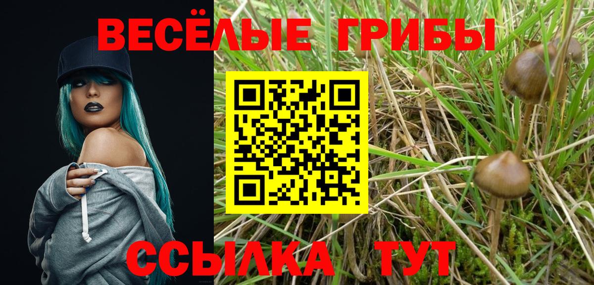 Галлюциногенные грибы MAGIC MUSHROOMS Ханты-Мансийск
