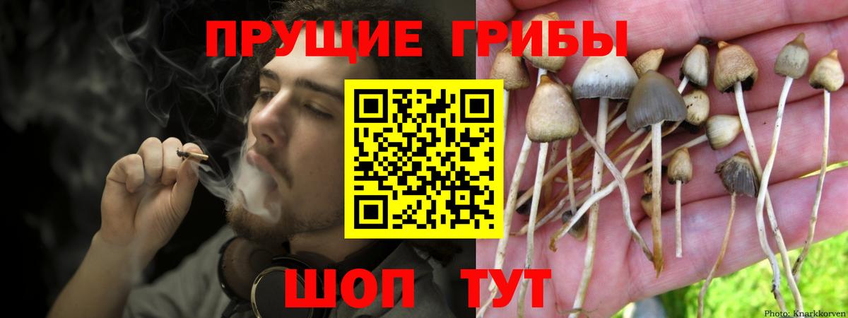 Галлюциногенные грибы мицелий  Псилоцибиновые грибы мицелий  Вход с VPN  Ханты-Мансийск 